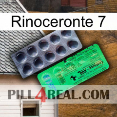 Rhino 7 new04